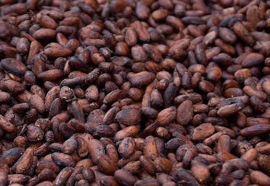 Cocoa Beans